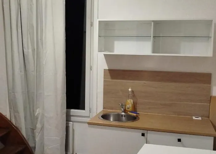 Bois Dormant-cosy-t2-wifi-centre-ville-parking Appartement *